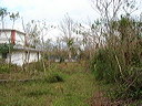 dsc00537
